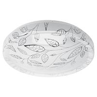 Светильник светодиодный накладной "Сюзи" Эра SPB-6 220В 12Вт 6500К картинка 